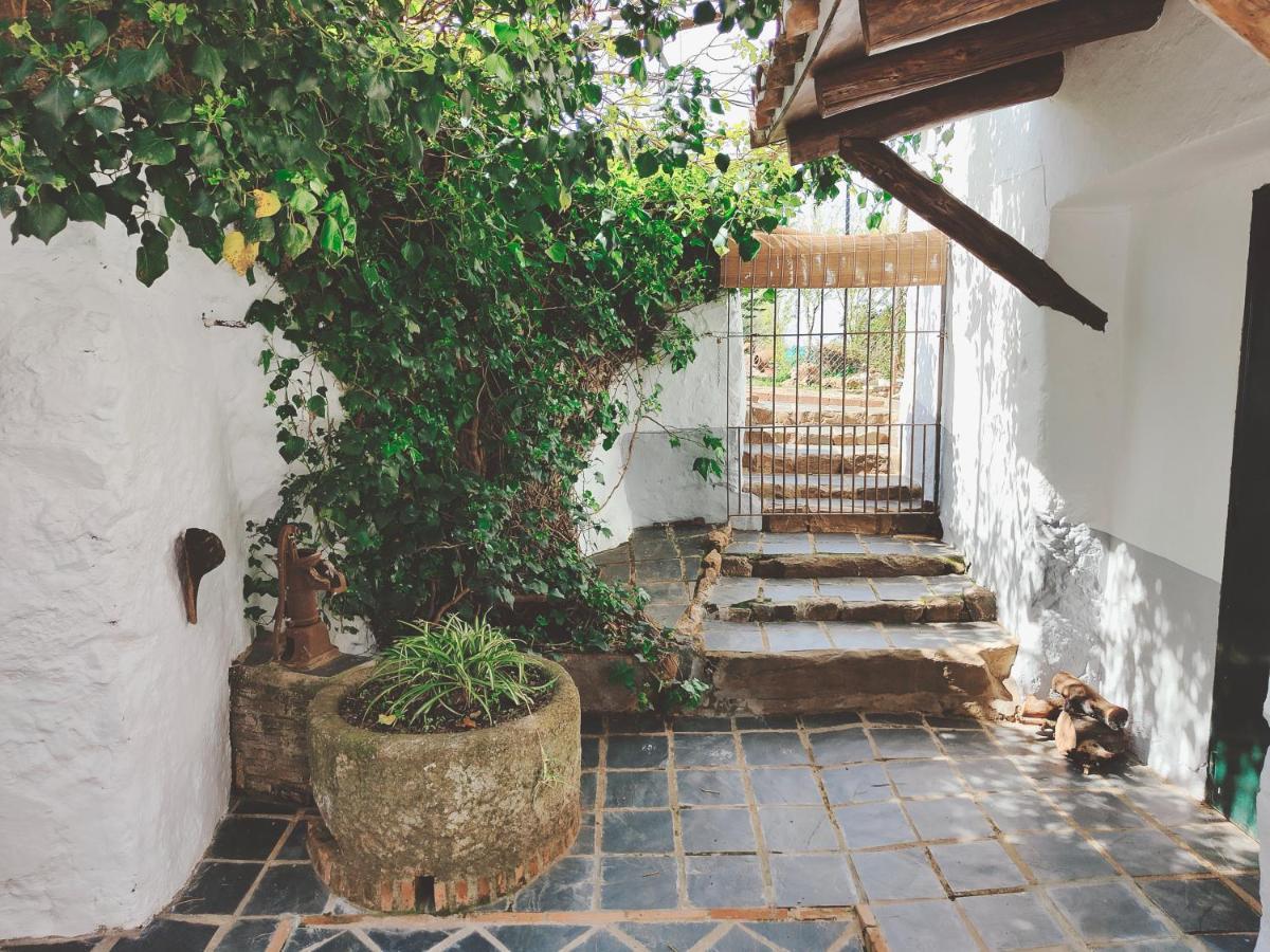 La era de San Blás Fuentes de León Esterno foto